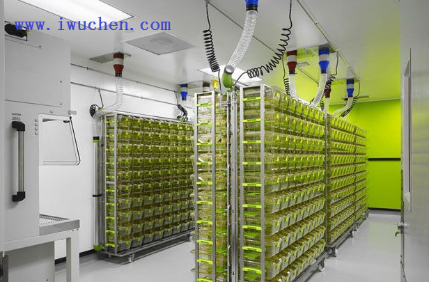 實驗動物房 實驗動物房