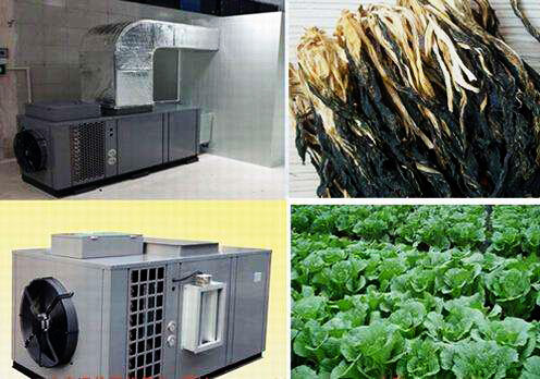 什么是食品烘干房？